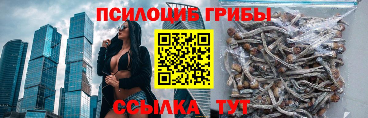 Псилоцибиновые грибы ЛСД Сердобск