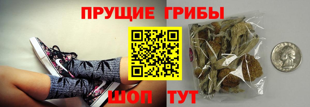 Сердобск  Псилоцибиновые грибы прущие грибы  Вход с VPN 